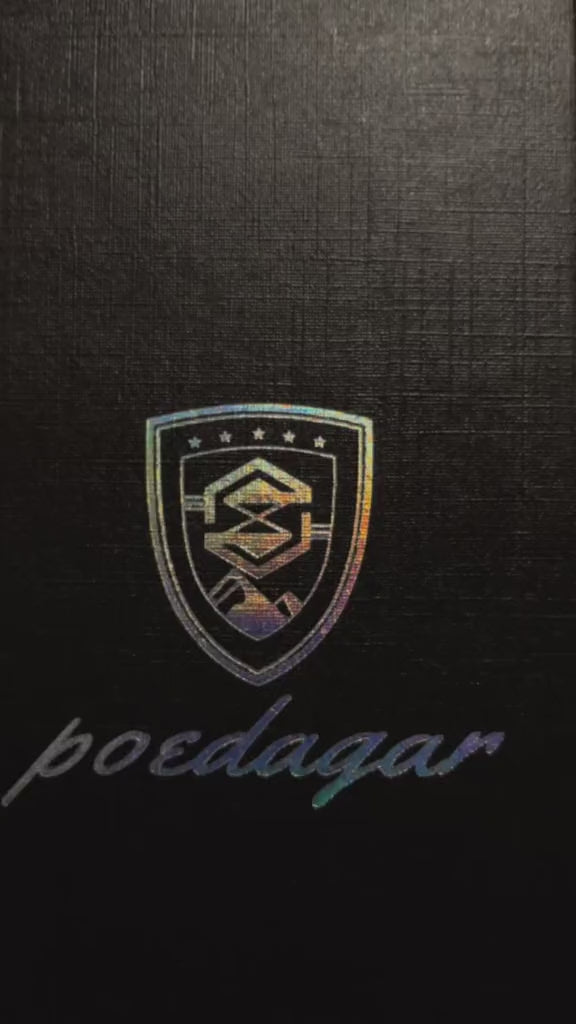POEDAGAR Luxury Men's Quartz Wristwatch Waterproof Luminous Date Week Man Watch Stainless Steel Business Fashion Watches For Men